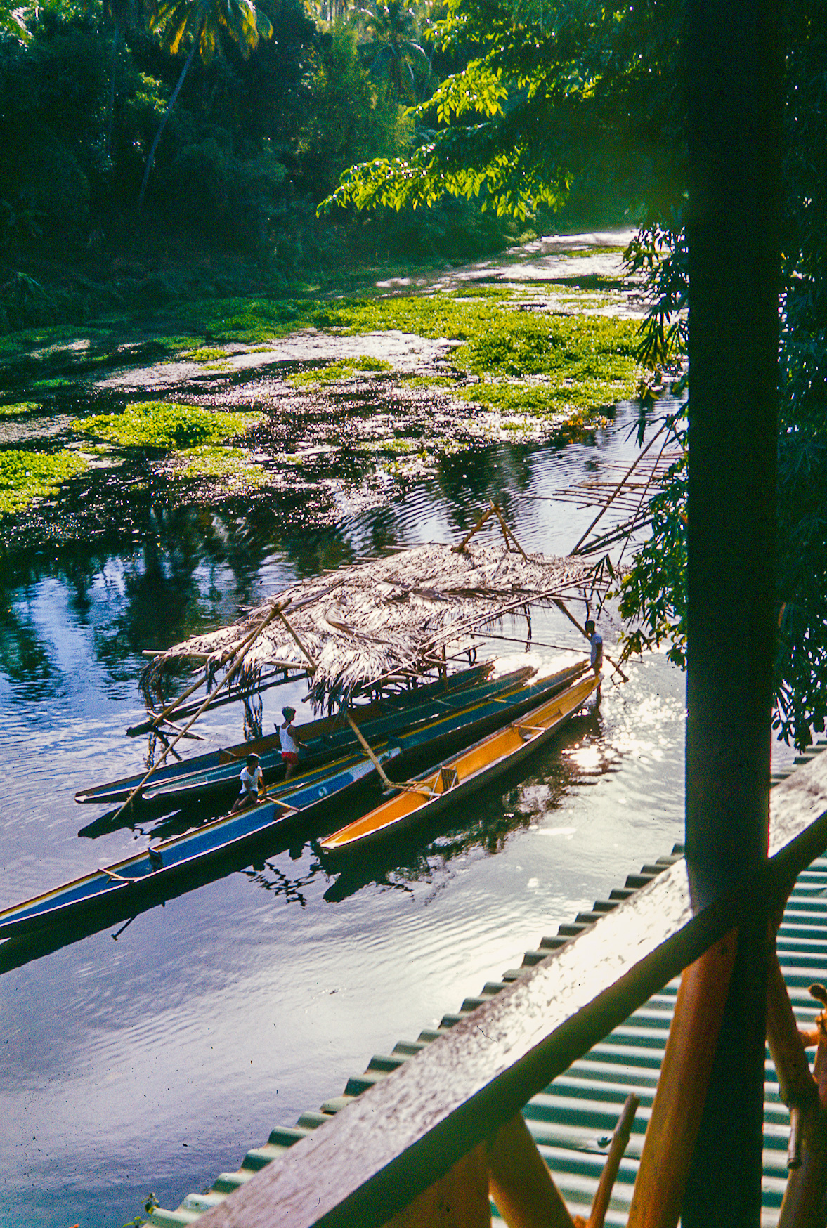 Moored banca boats on the Pagsanjan River Moored banca boats on the Pagsanjan River
