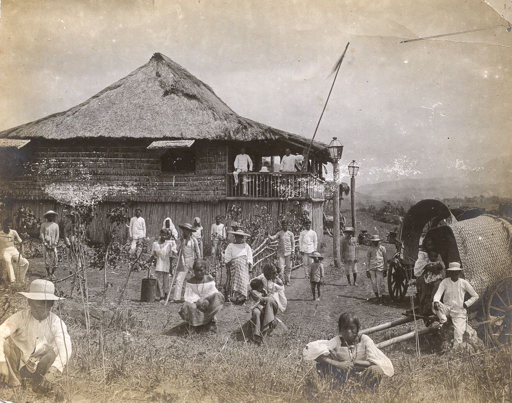 Native Plantation