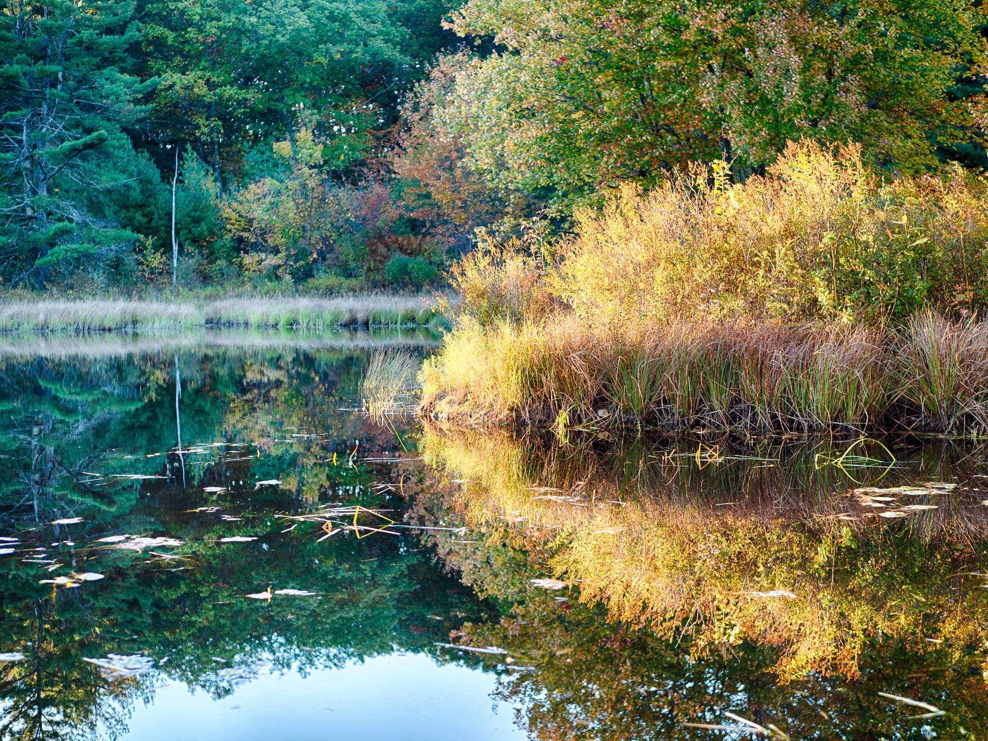 Autumn on Temple Road, New Ipswich, NH