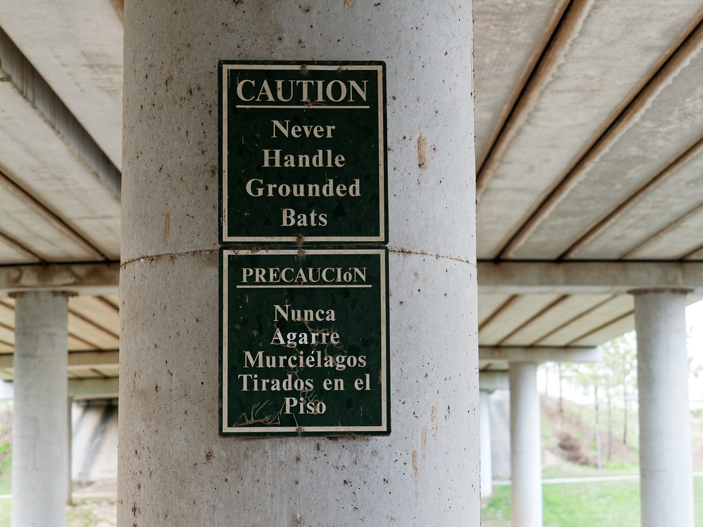 Bat Sign