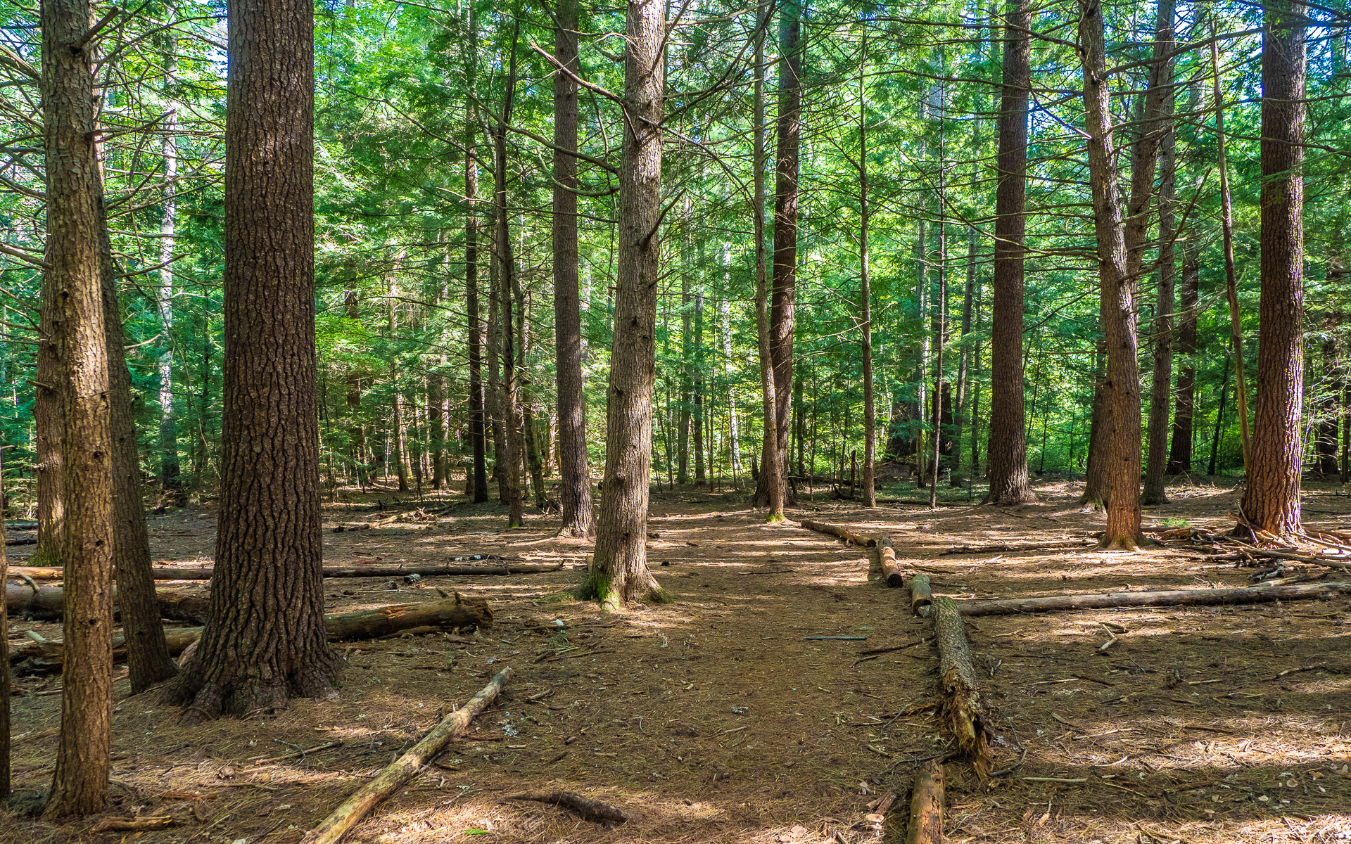 Pine Grove at Beaver Brook Association in Hollis, NH Pine Grove at Beaver Brook Association in Hollis, NH