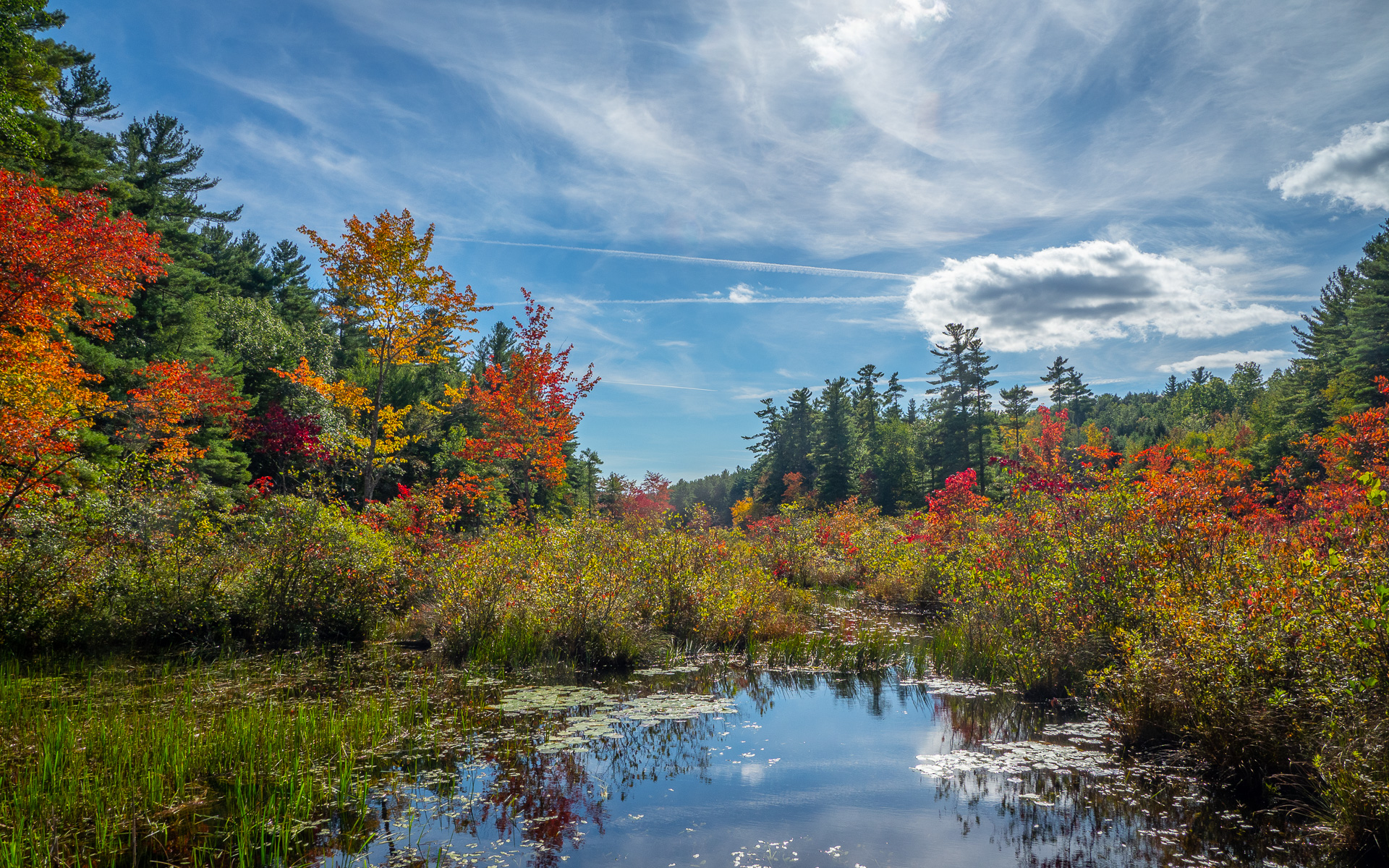 Beaver Brook Beaver Brook