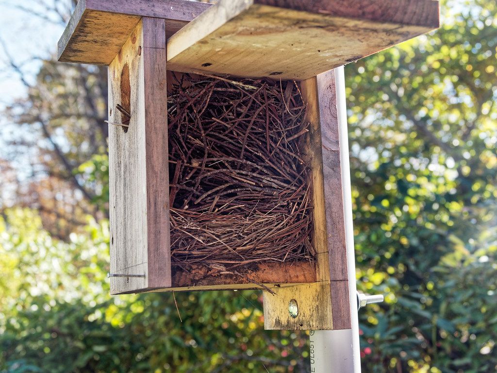 Birdhouse