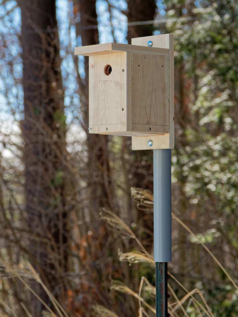 House Wren House