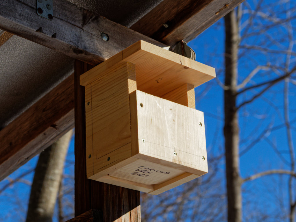 Carolina Wren House