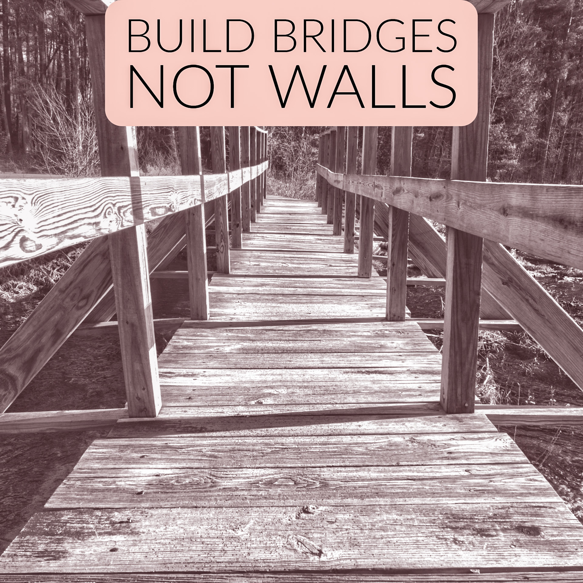 Build Bridges NOT WALLS