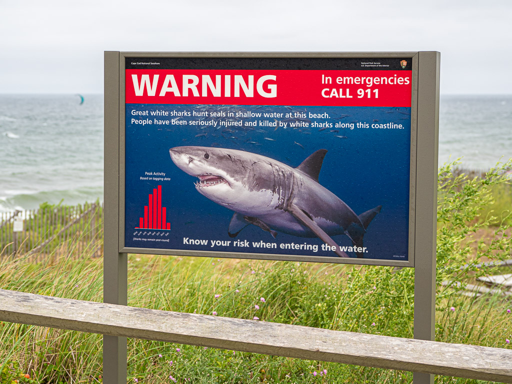 Shark Sign