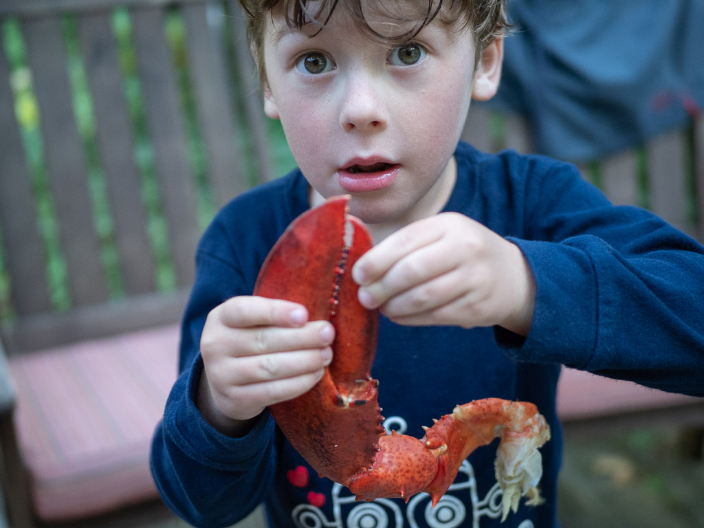 Lobster