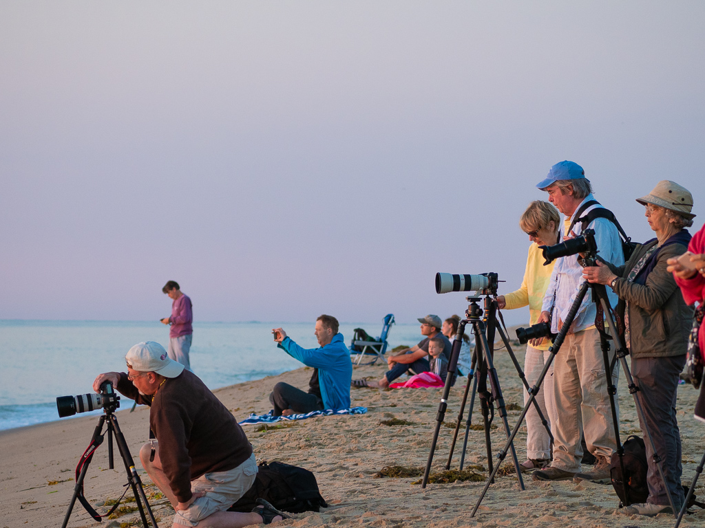 Photographers
