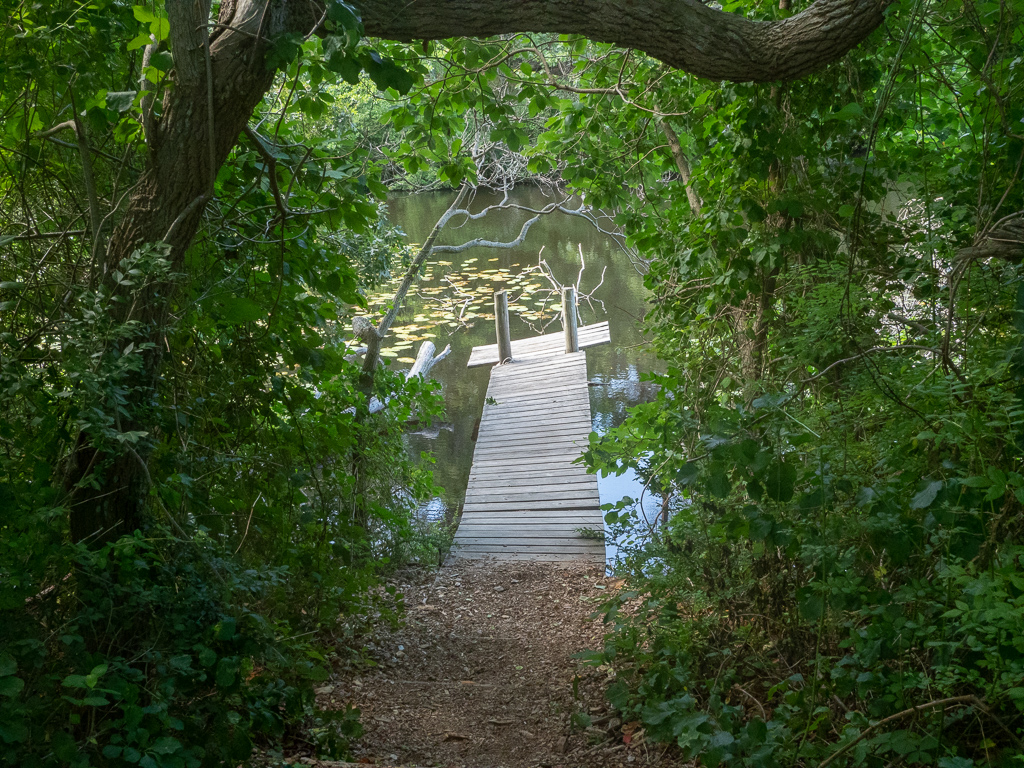 Crooked Dock