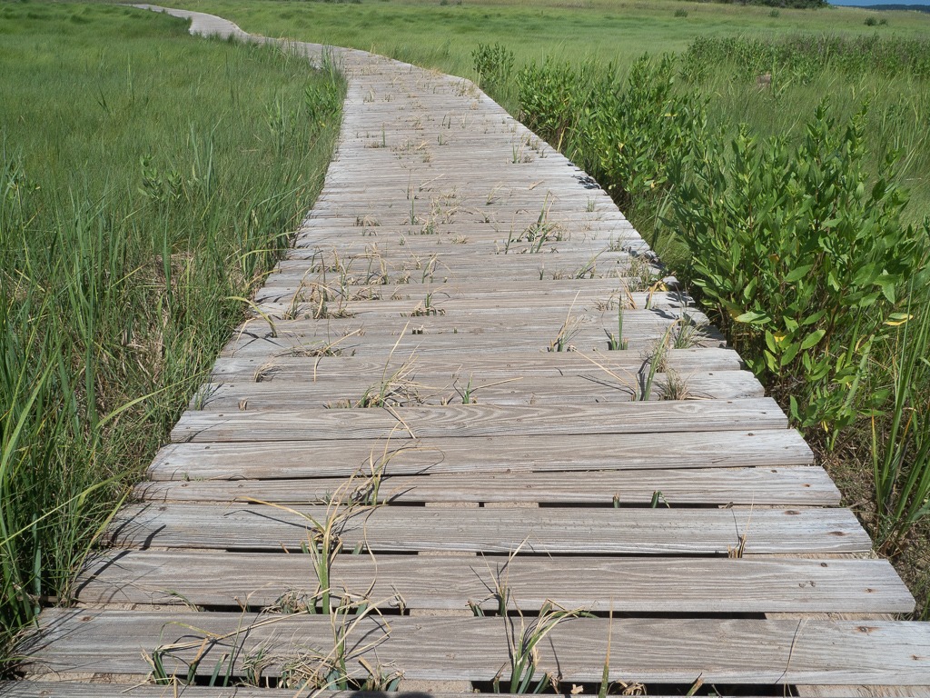 Boardwalk