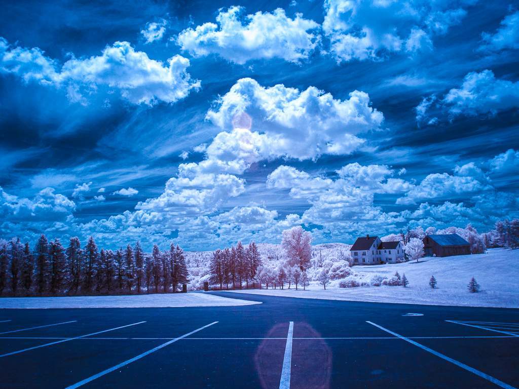 Cathedral of the Pines (Infrared)