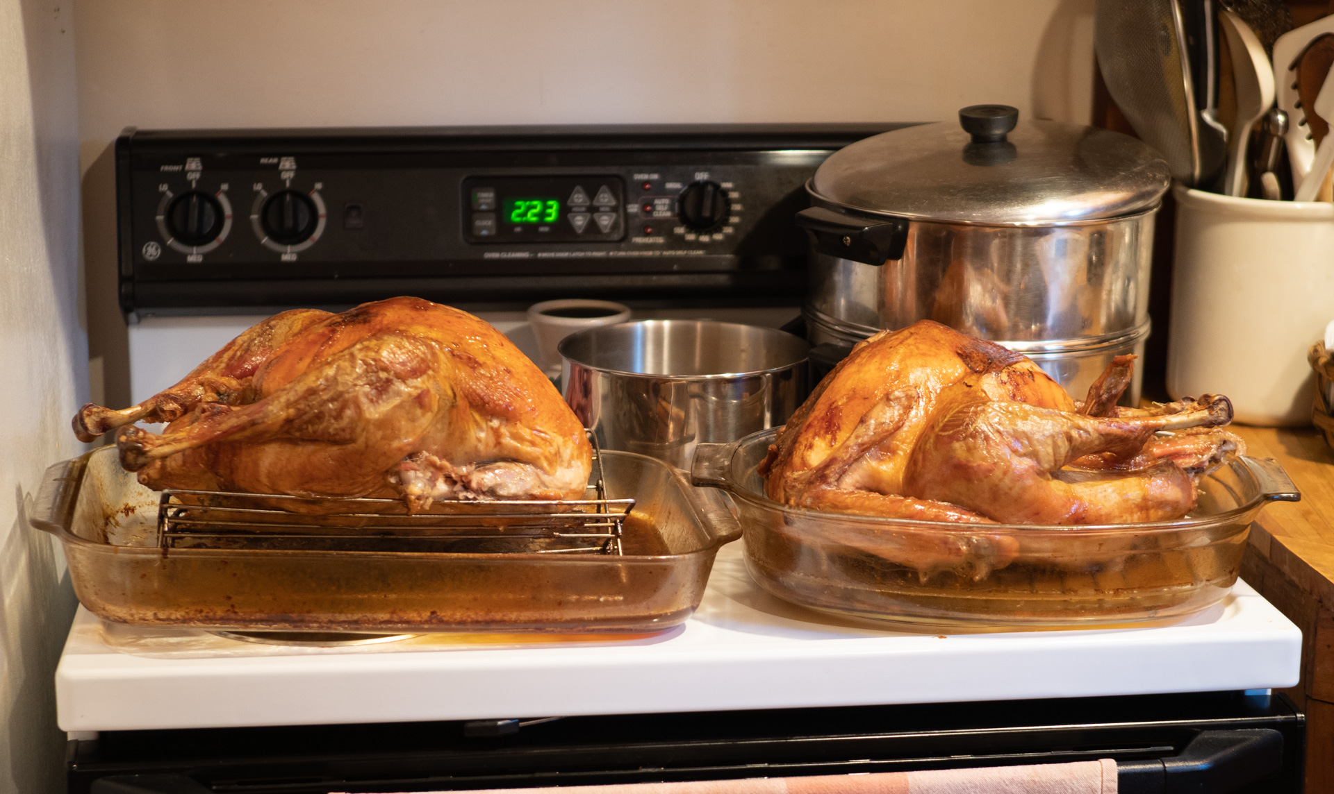 Two Turkeys