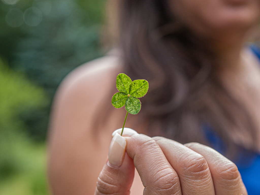 Four leaf clover