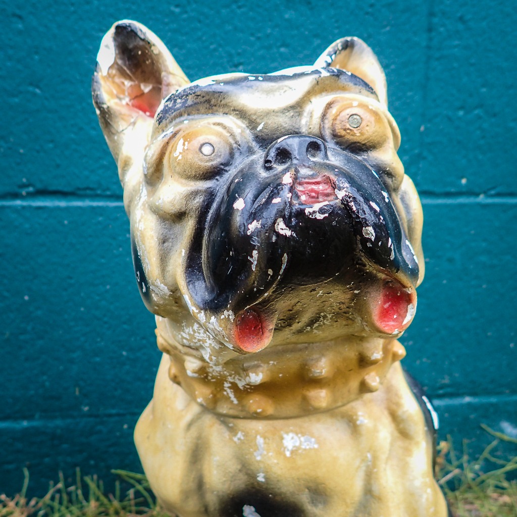 One Ugly Dog One ugly dog