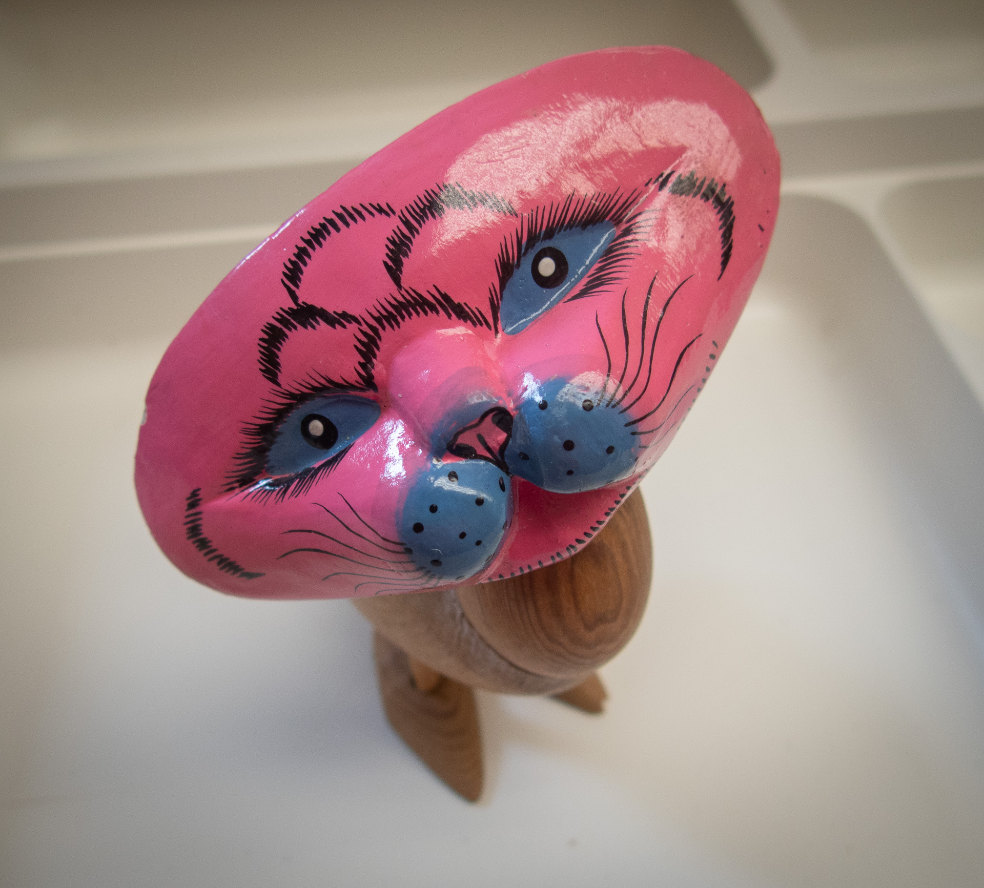 Weird Cat Head