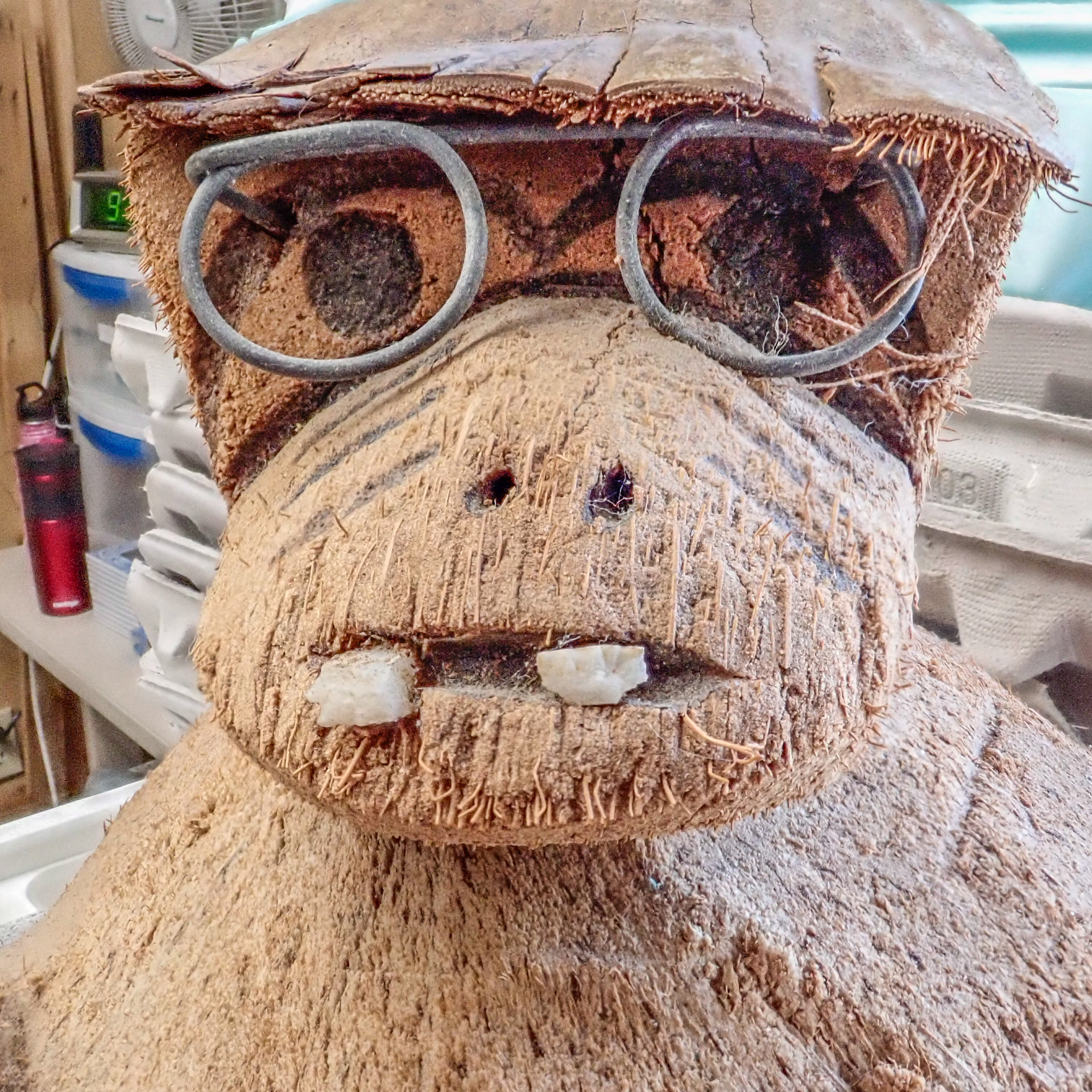Carved Coconut