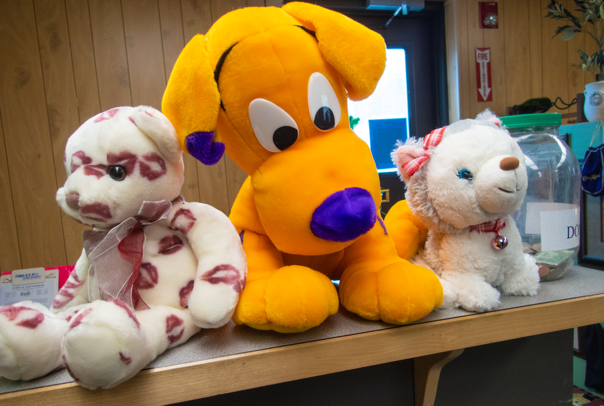 Cute stuffed animals