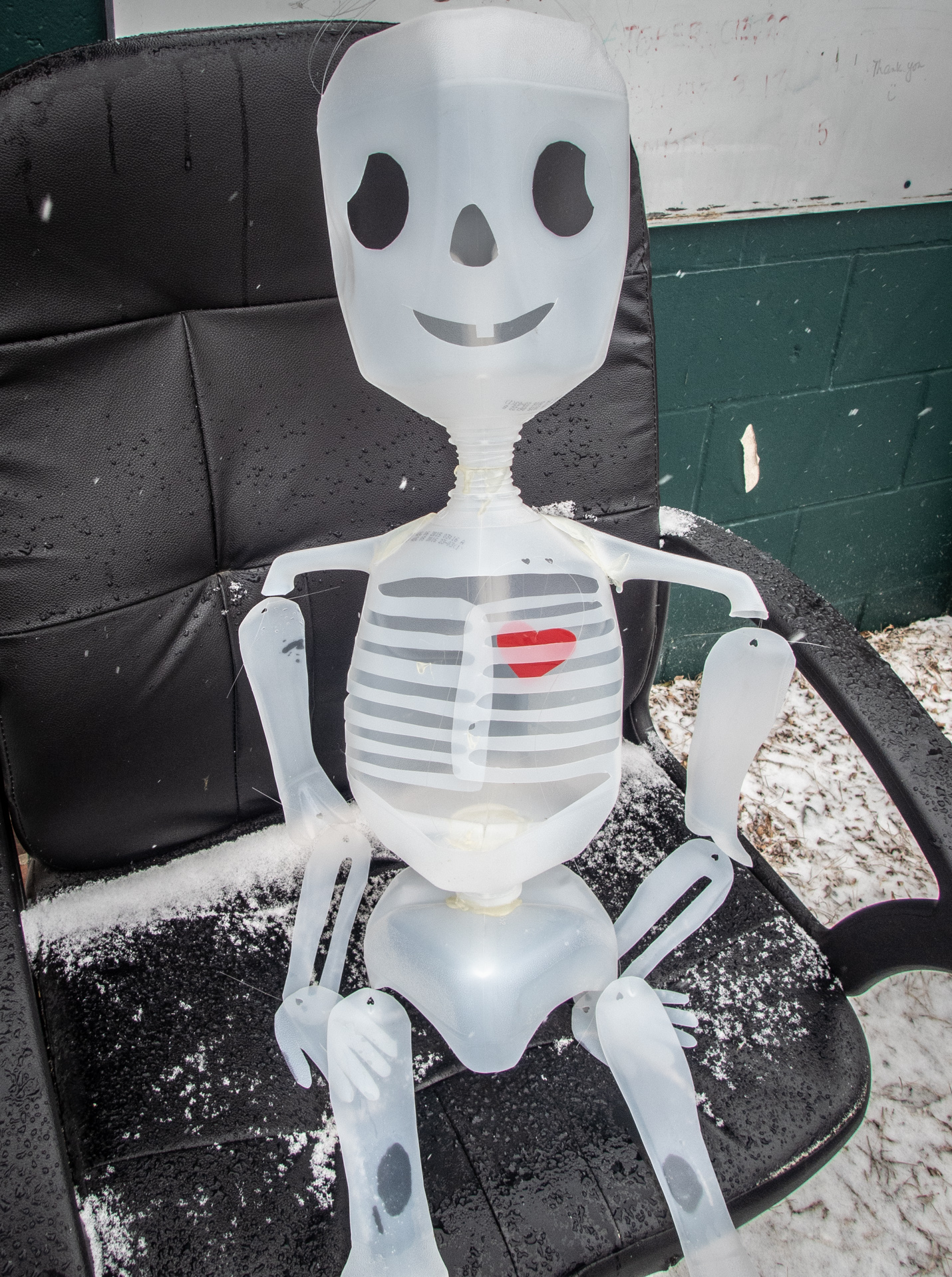 Skeleton made from recycled milk jugs