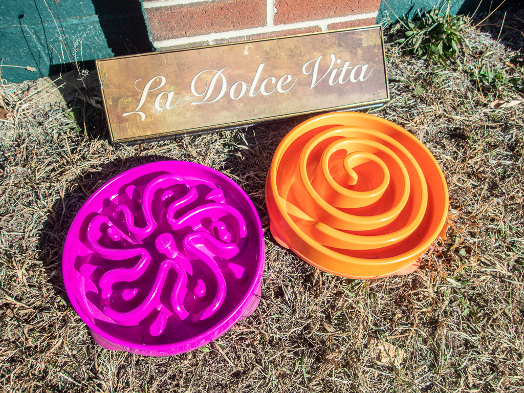 Dog Dishes for dogs that eat too quickly