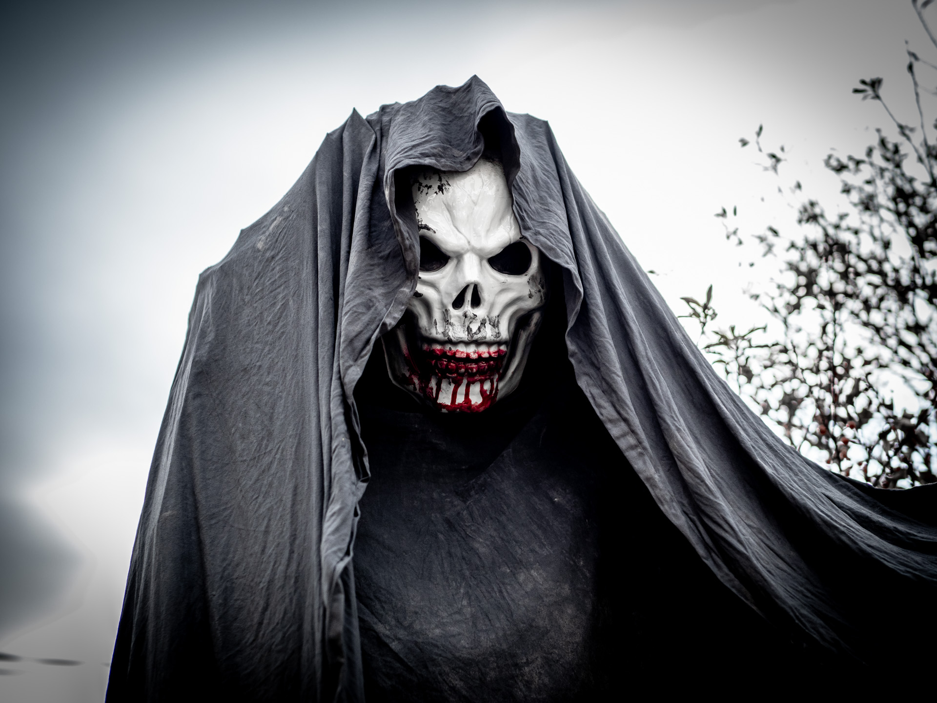 The shroud for this creature was fashioned from sheets dipped in a mixture of latex paint and joint compound