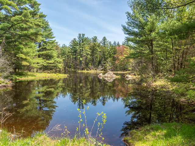 Lake Wampanoag Wildlife Sanctuary