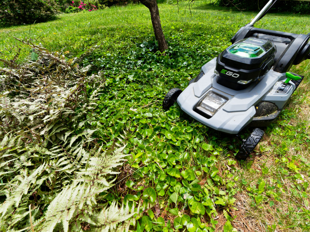 EGO Lawn Mower