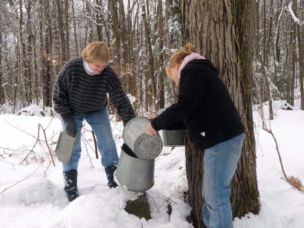 Lynda and Faith collecting maple sap
