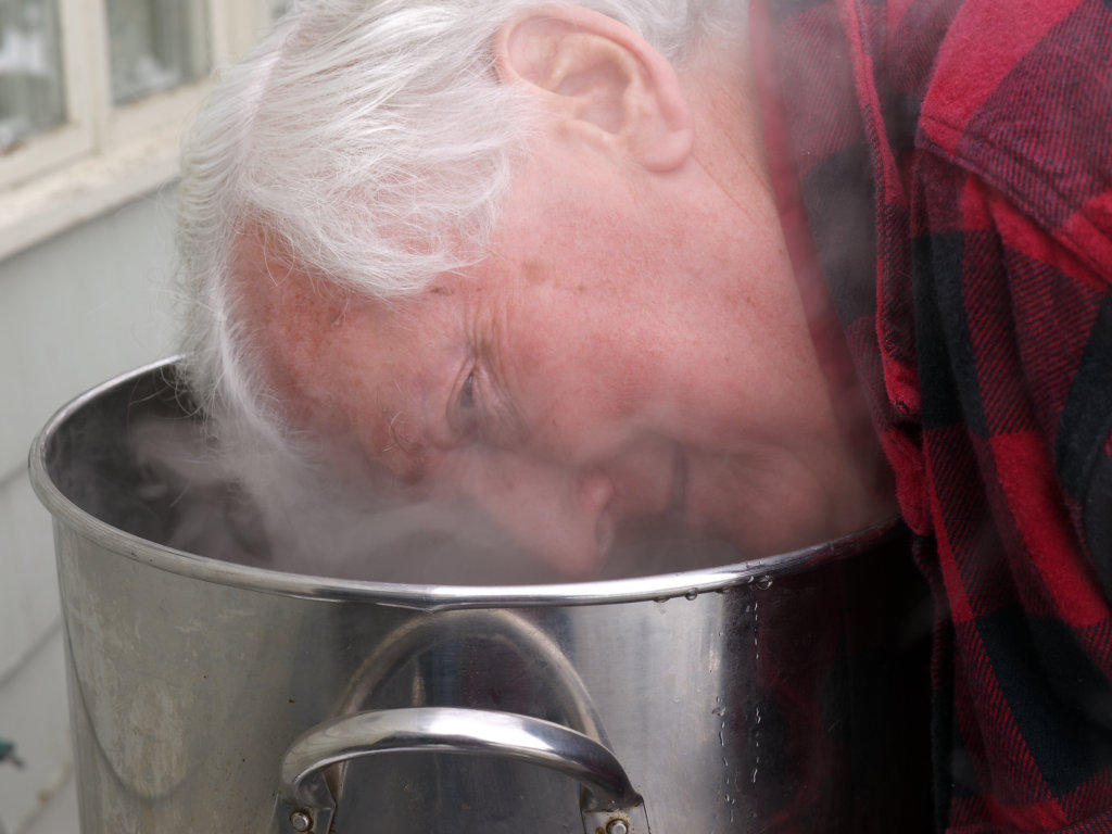 Maple Scented Steam