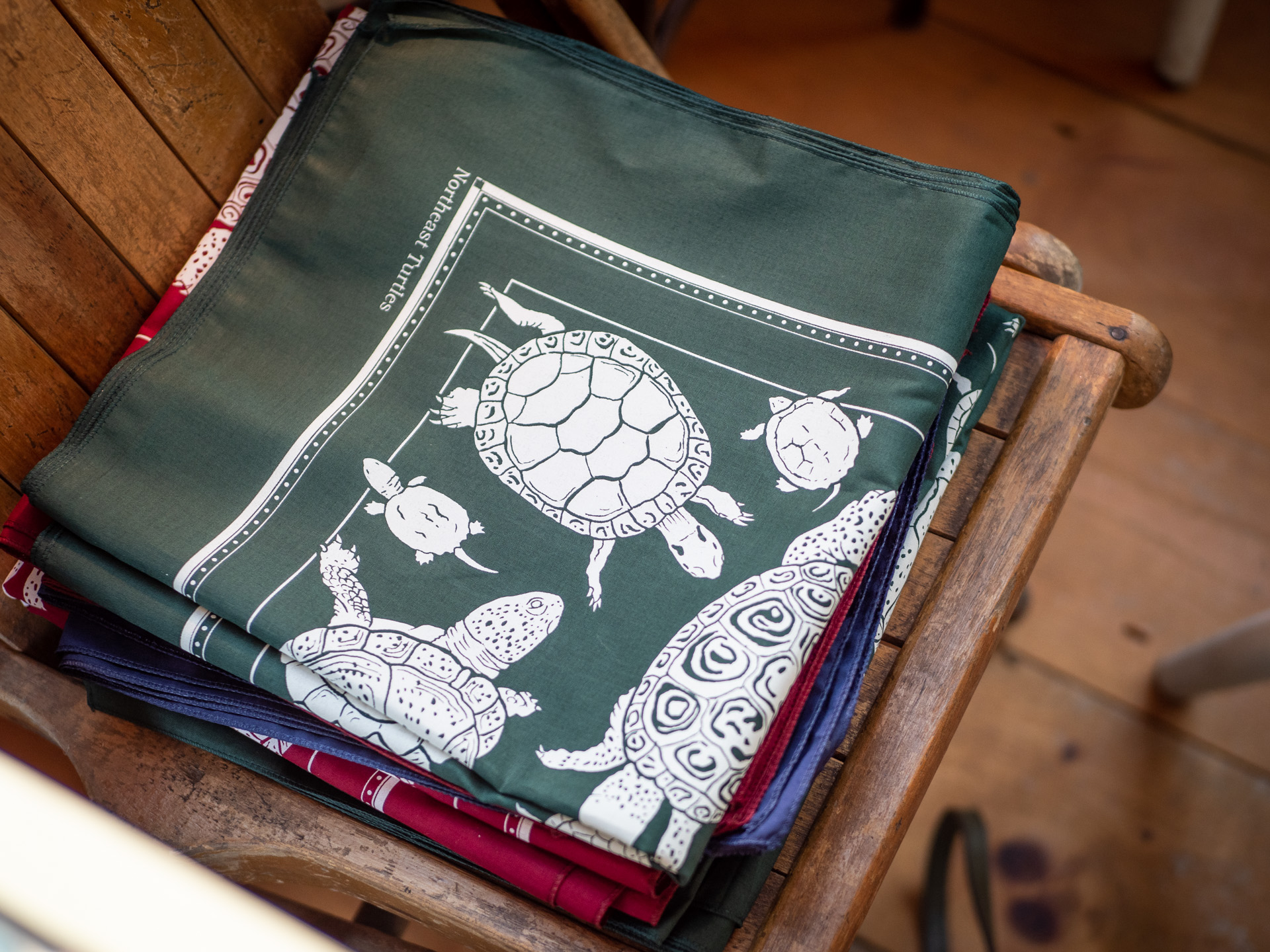 Turtle Prints Turtle Prints
