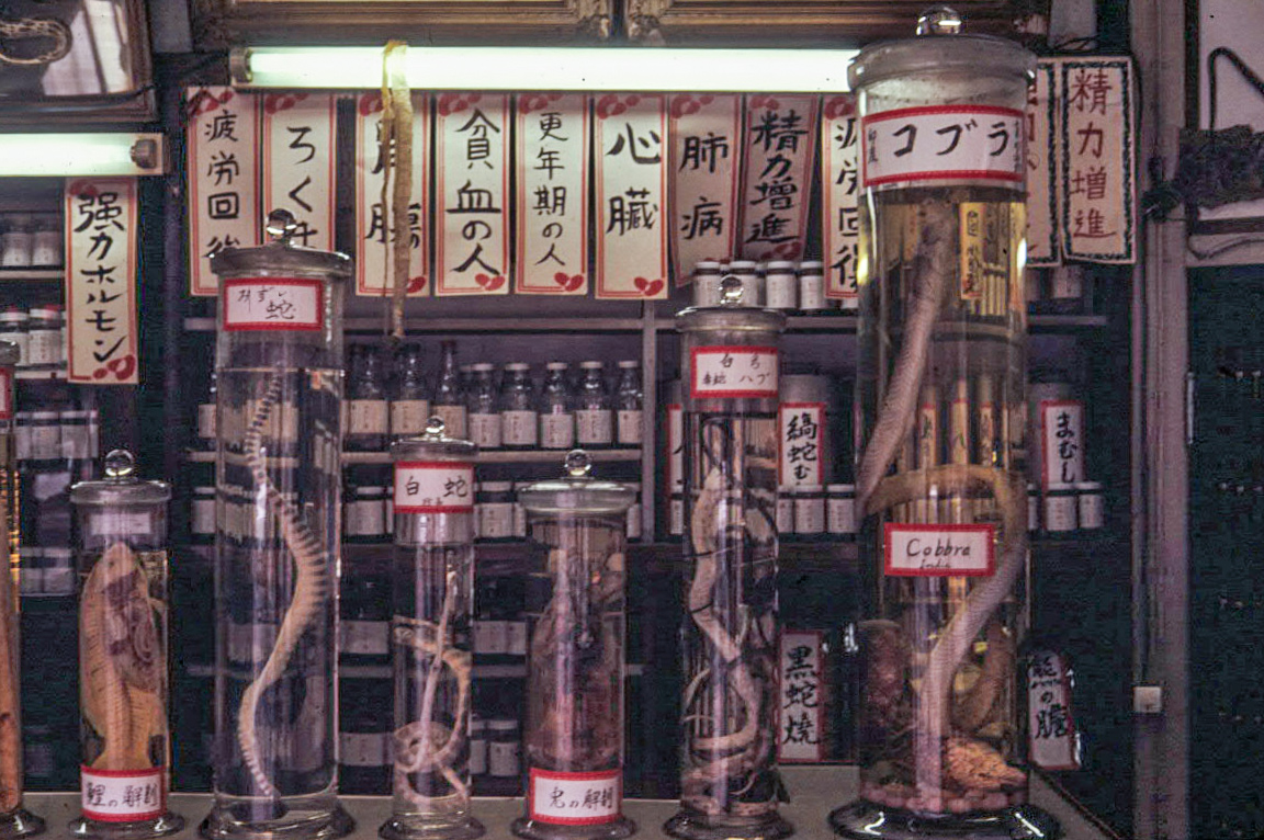 Medicinal Snakes