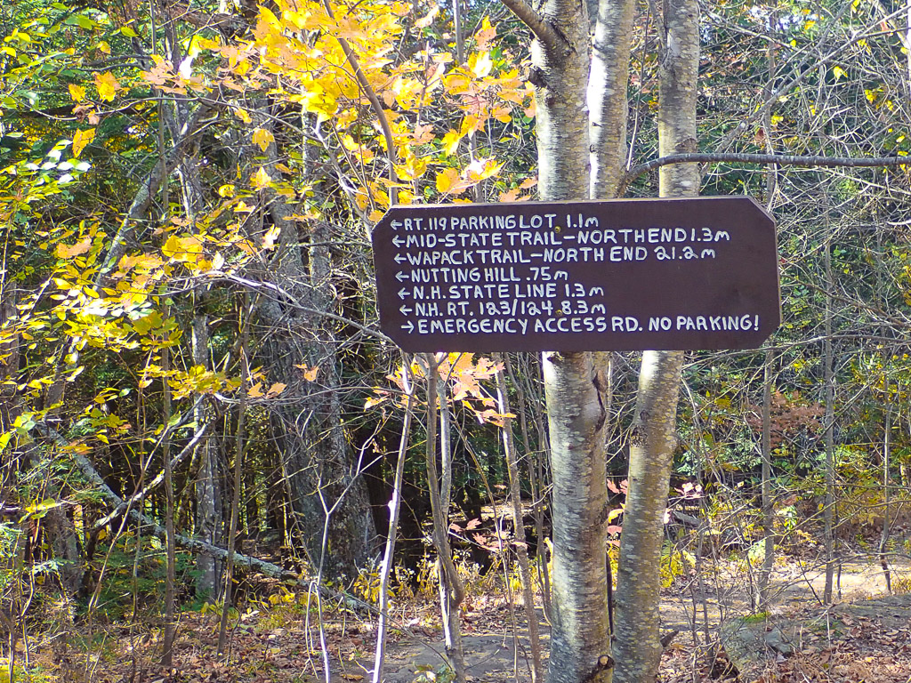 Mount Watatic trails