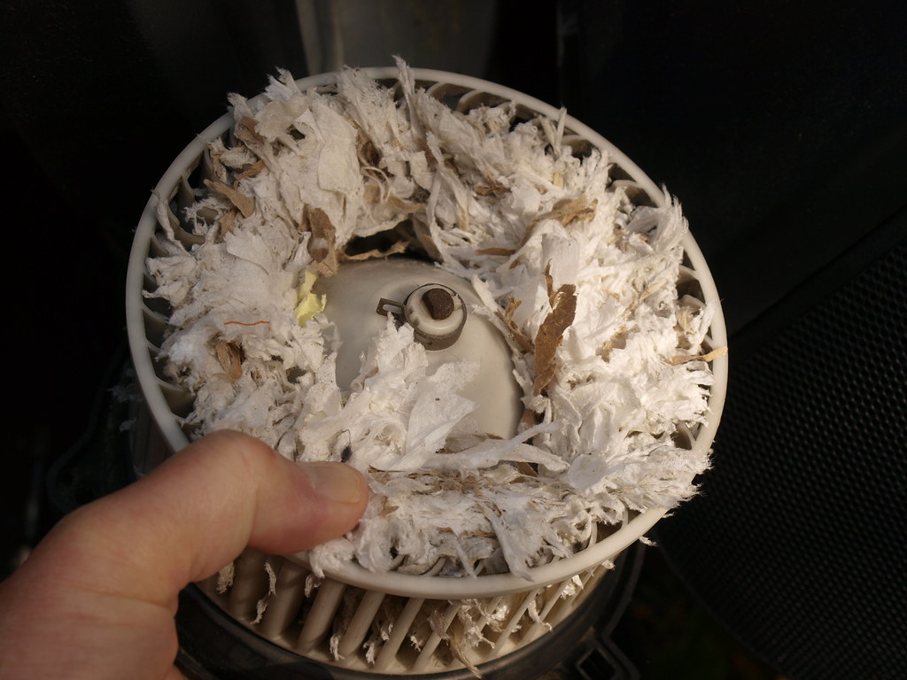 Mouse nest in blower fan