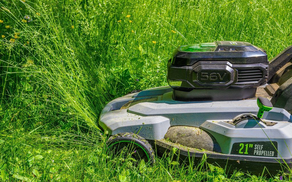 Mowing the meadow
