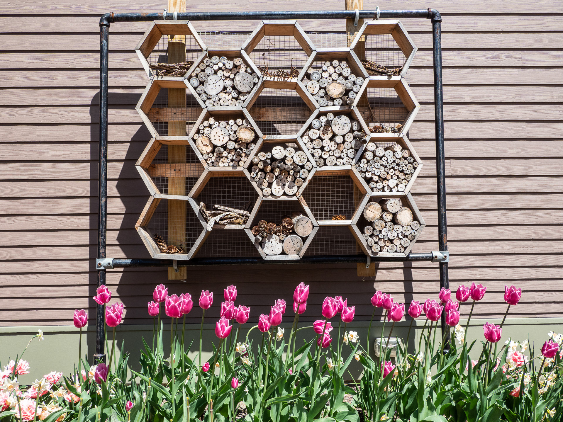 Pollinator House Pollinator House for Mason Bees (Osmia bicornis) located at Tower Hill Botanic Garden