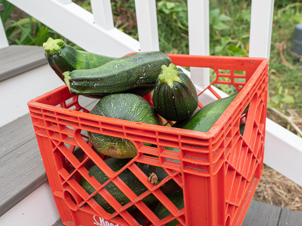Overwhelmed with Zucchini