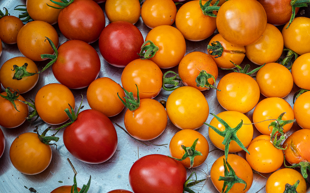 Mix of Favorita and Sungold cherry tomatoes