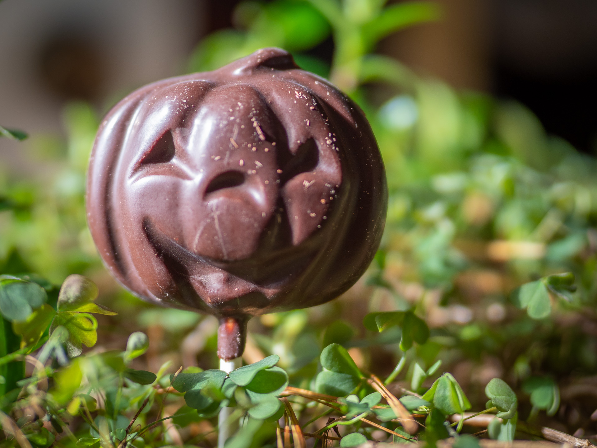 Chocolate pumpkin lollipop