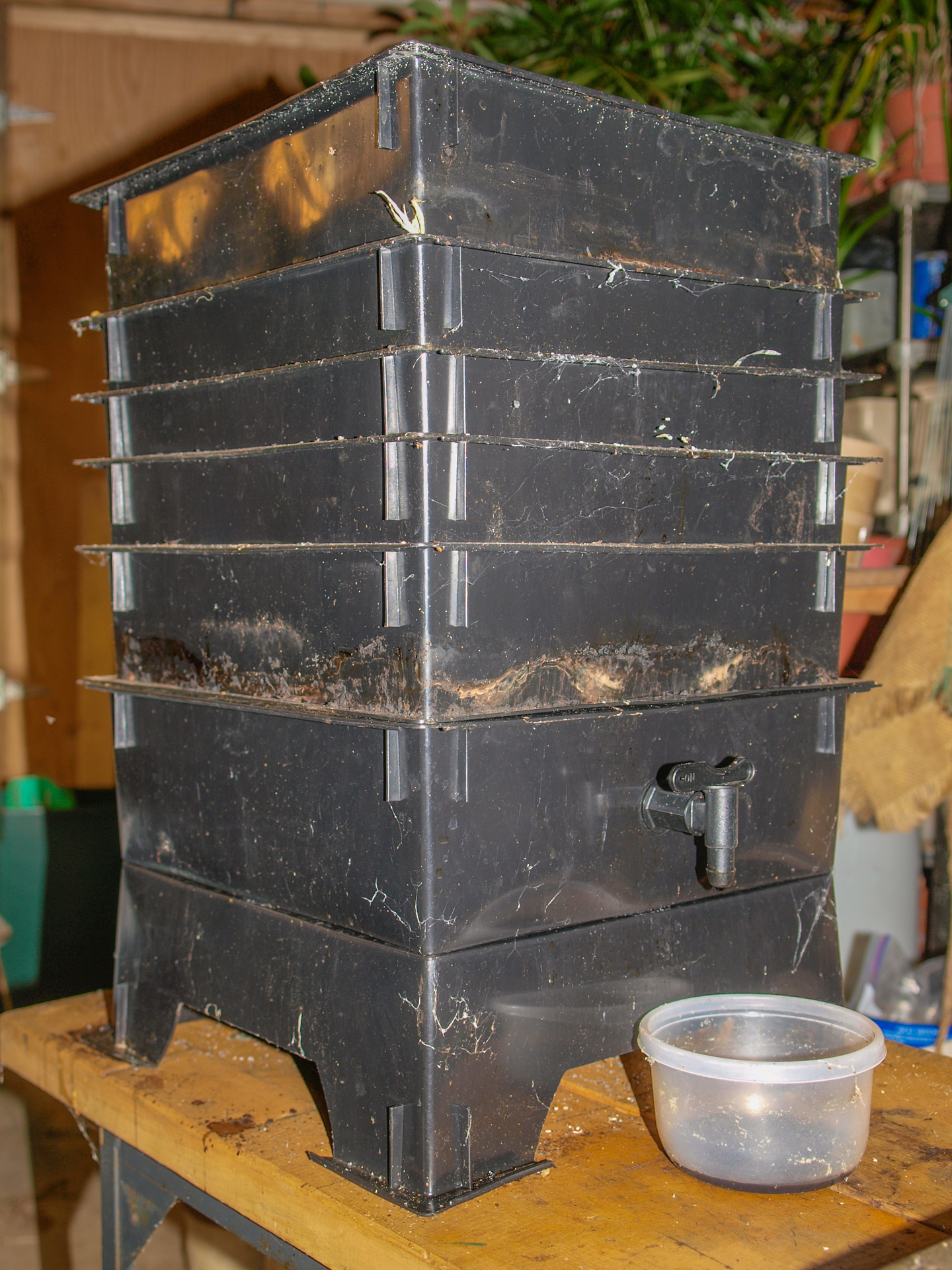 The Worm Factory