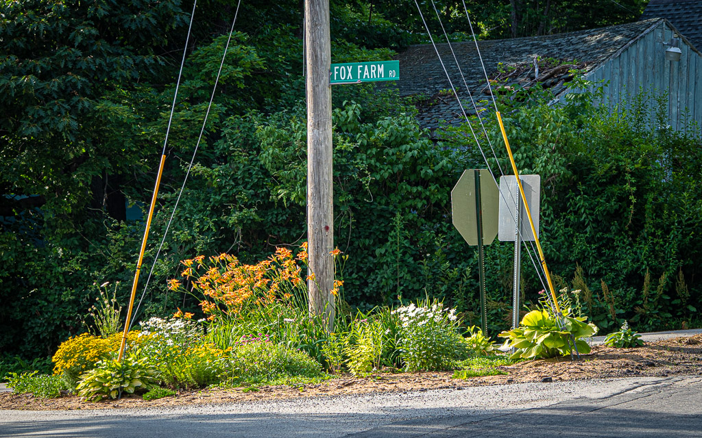 Roadside Garden
