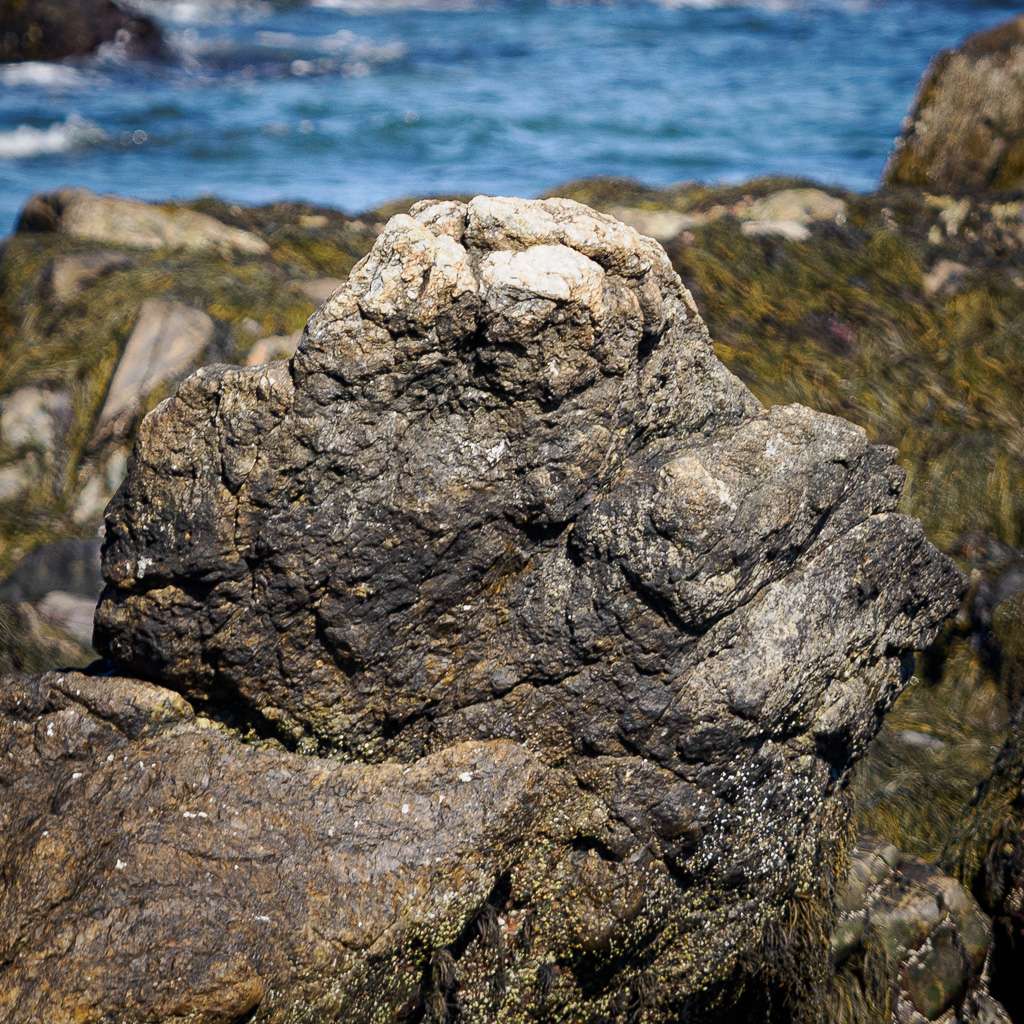 Squatty Eagle Rock