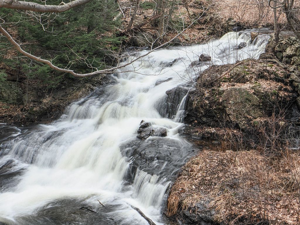 Wheeler Dam