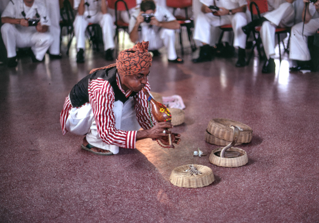 Snake Charmer