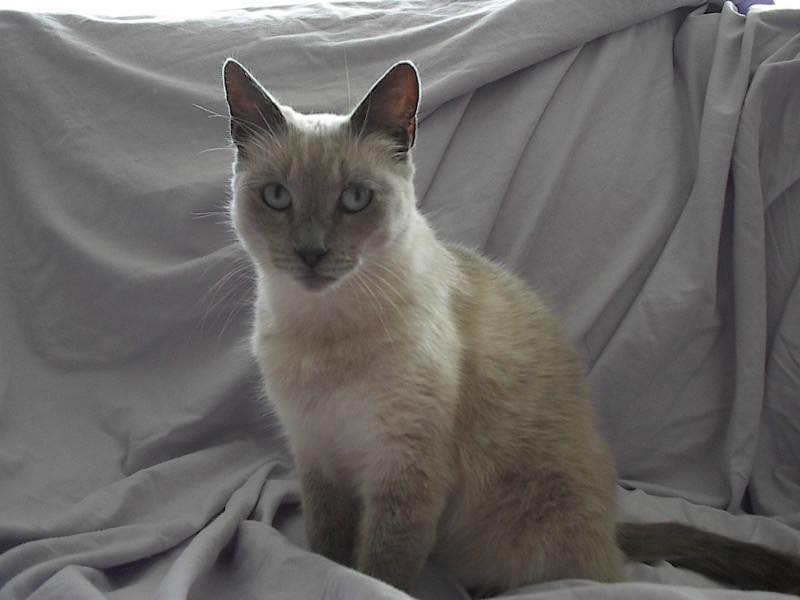 Sophie