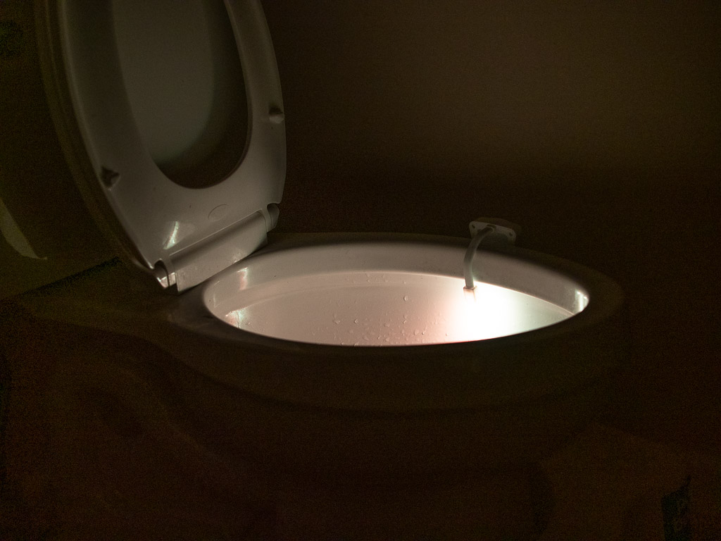 Toilet Light from the Green Center