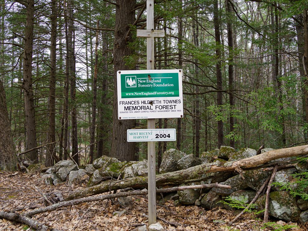 Townes Memorial Forest