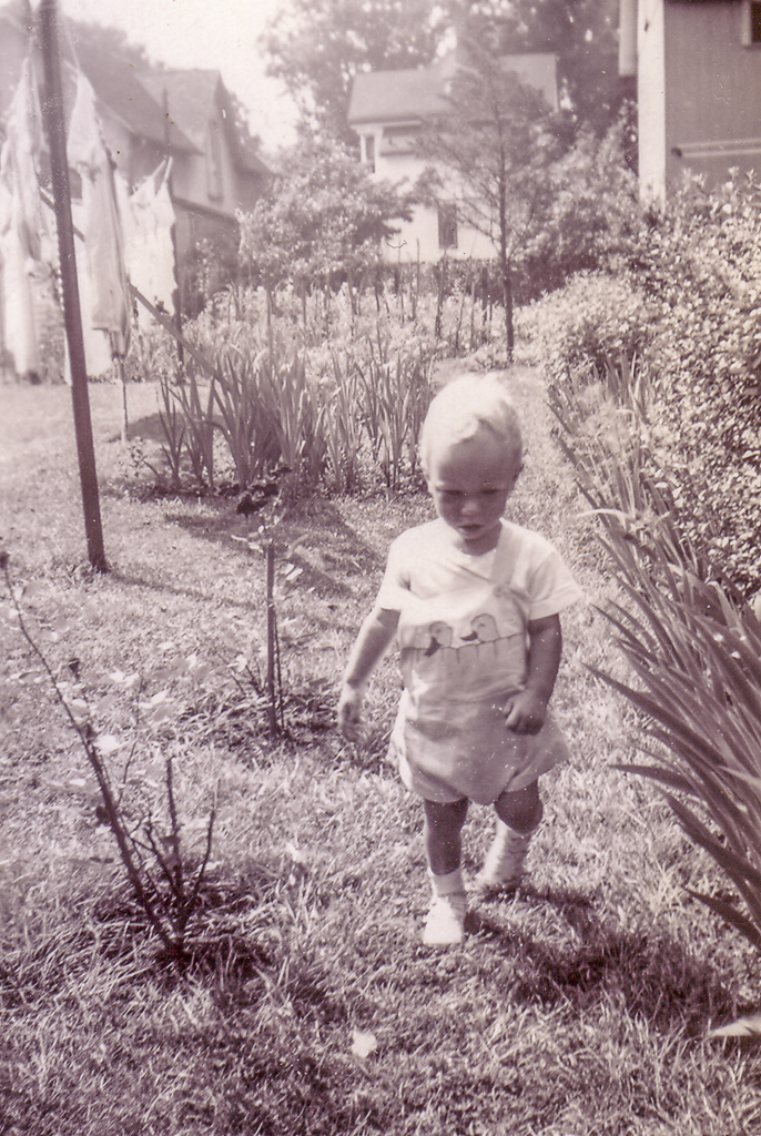Taking a stroll through my Grandmothers garden in 1948