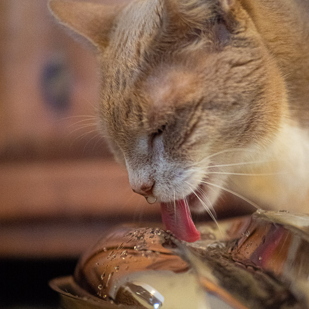 Paris drinking water