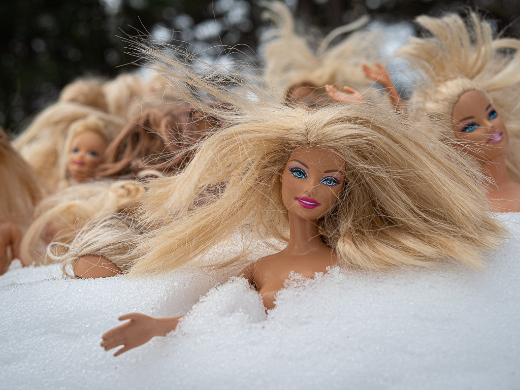 Barbie Dolls get caught in Winter Storm Ezekiel