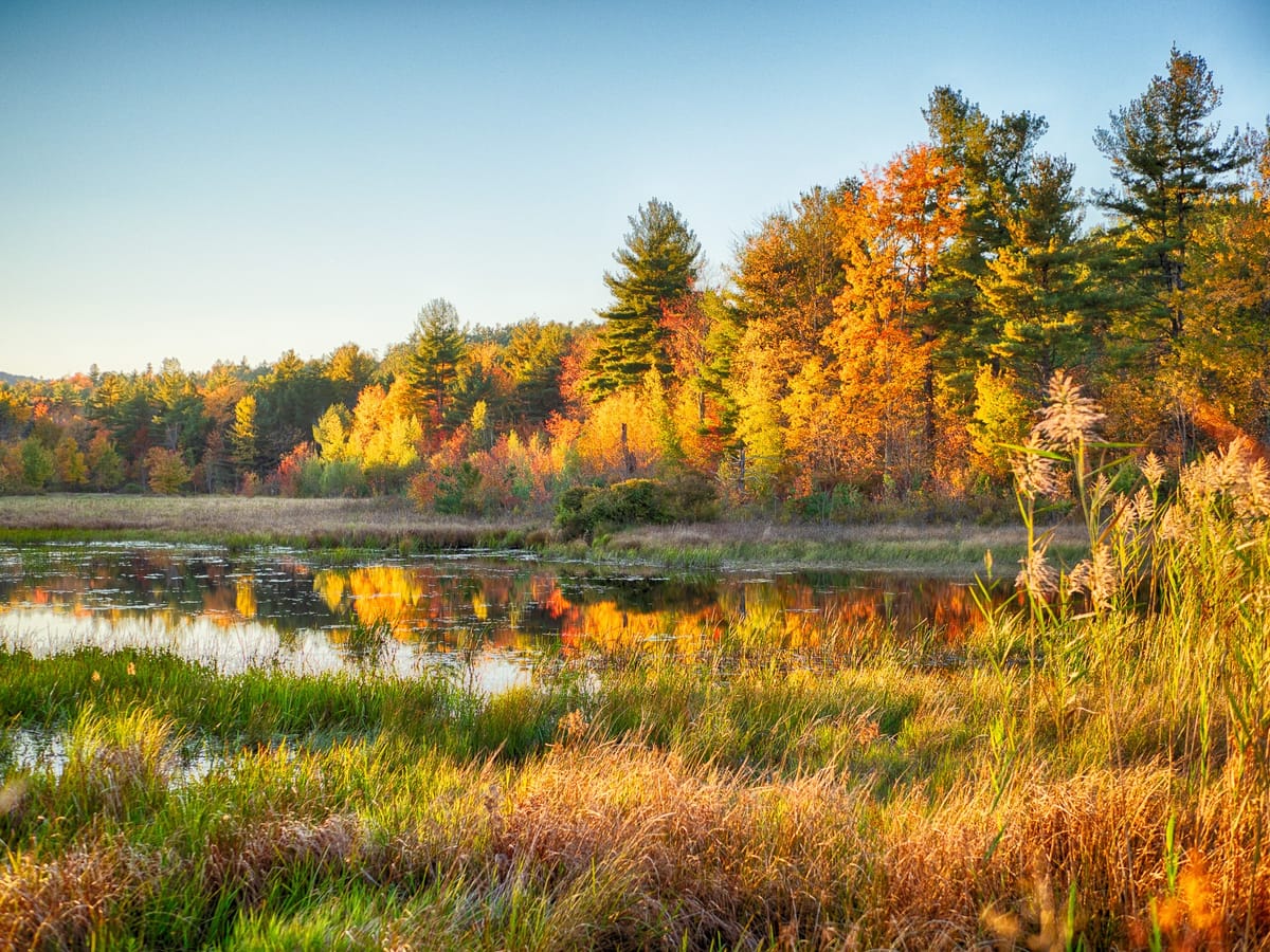 October Weekend